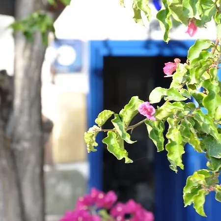 Leamira Kaş